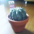 20070519_1224_000.jpg