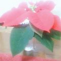 20071125_0956_000.jpg