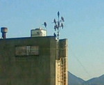 200712201025000.jpg