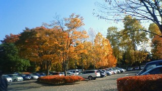 201011071244000.jpg紅葉.jpg