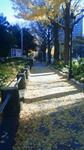 山下公園前.jpg